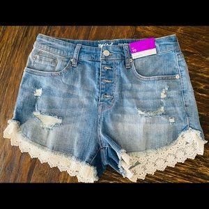 Brand New Jean Shorts